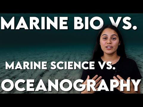 Marine Biology Bachelor's Degree: Gateway to Ocean Science