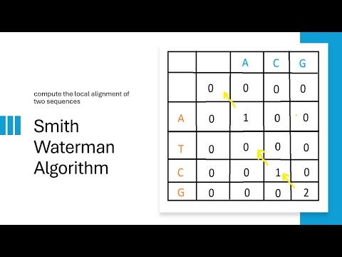 Advancements in Sequence Alignment with the Smith Waterman Algorithm