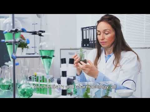 Functional Tissue: Bridging Biology and Medical Innovation