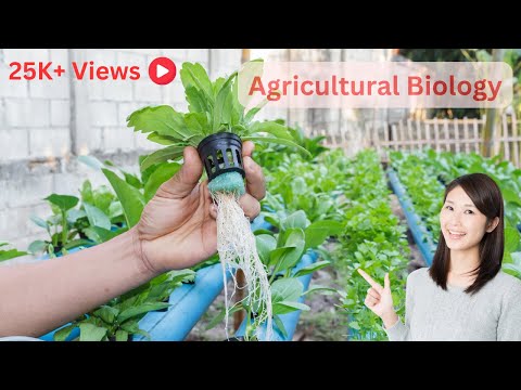 Innovative Science in Bio Agriculture for Sustainable Farming