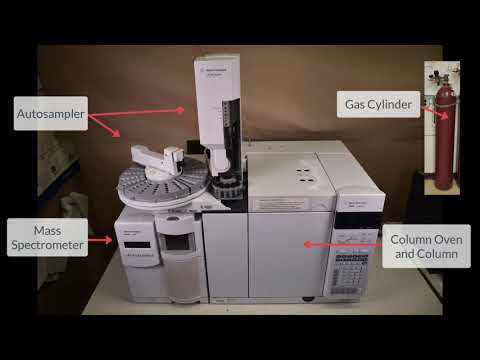 Advancements in Gas Chromatography and Mass Spectrometry