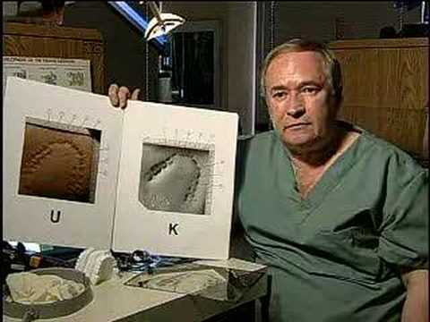 The Role of Odontology in Forensic Investigations