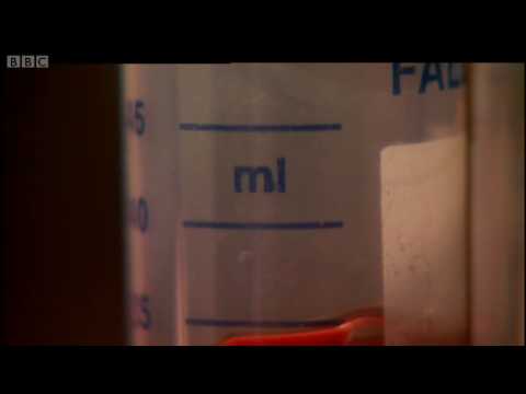 Advancements in Umbilical Cord Blood Research and Applications