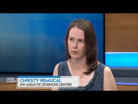 Innovative Applications of PBS Chemicals in Modern Science