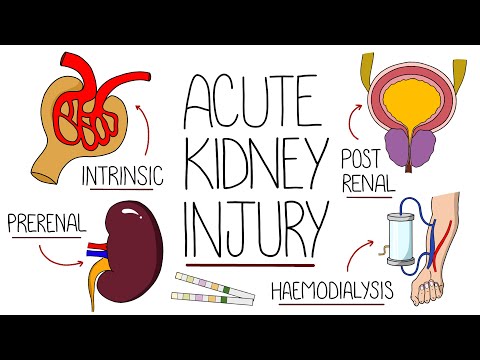 Aki Pathophysiology: Mechanisms and Implications for Health