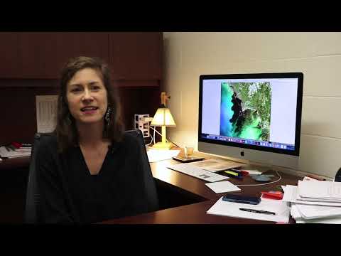 Innovative Solutions in Biological and Agricultural Engineering