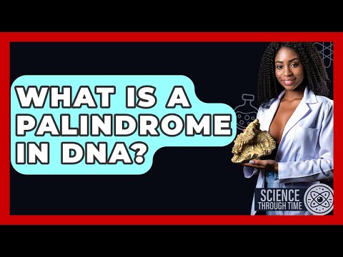 DNA Palindromes: Nature’s Intriguing Molecular Patterns