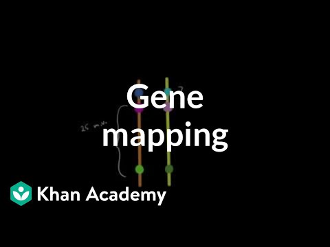 Advances in Chromosomal Mapping for Genetic Research