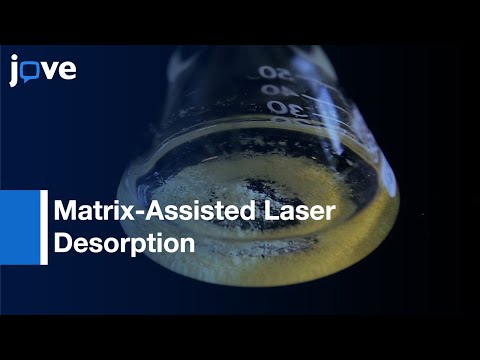 Advancements in MALDI TOF MS for Scientific Research