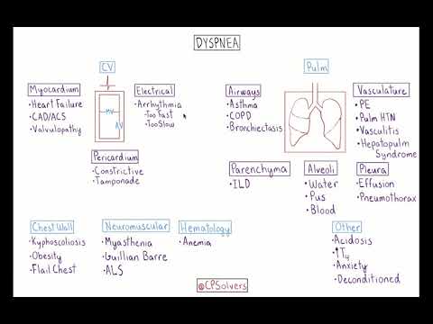 The Complexity of Dyspnoea Pathophysiology in Medicine