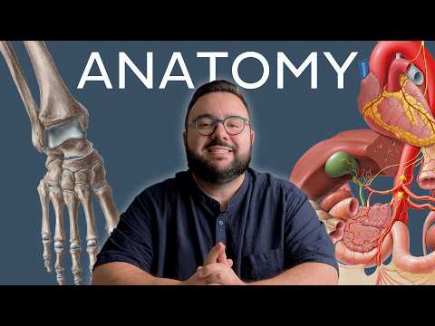 Engaging with Kenhub for Advancing Anatomy Knowledge