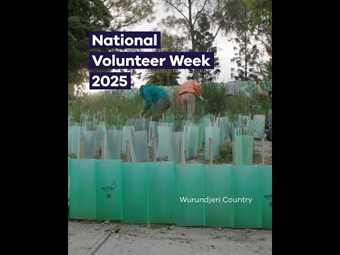 Engaging Communities Through Environmental Science Volunteering