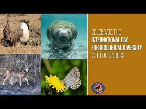 Celebrating Science on International Day for Biological Diversity