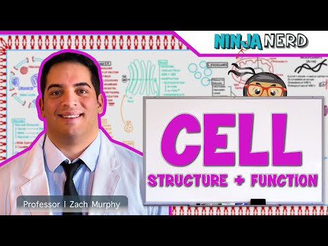 Advancing Molecular and Cellular Biology through Outreach