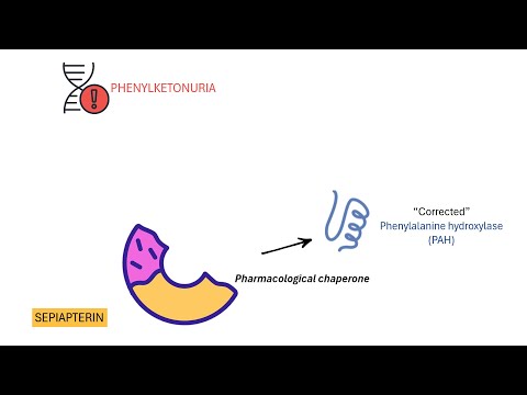 Insights into the Pah Gene and Its Role in Metabolism