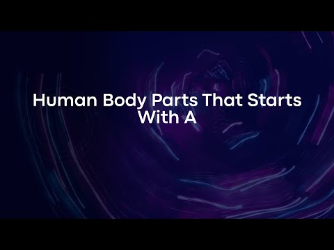 Fascinating Insights into Human Anatomy and Body Parts