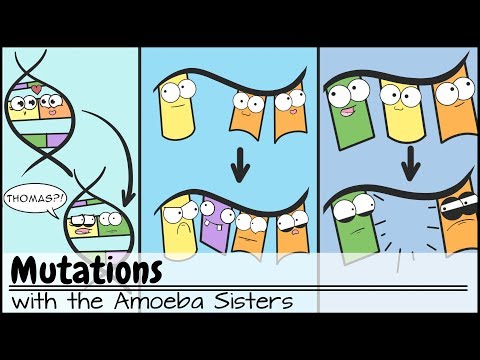 Chromosomal Science and Its Role in Genetics Today