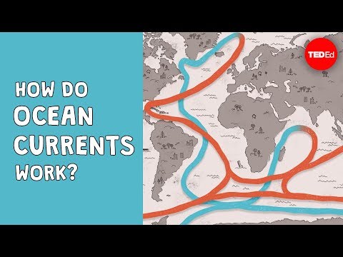 Tidal Currents: Navigating the Science of Ocean Motion