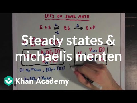Michaelis Menten Kinetics: A Cornerstone of Biochemistry