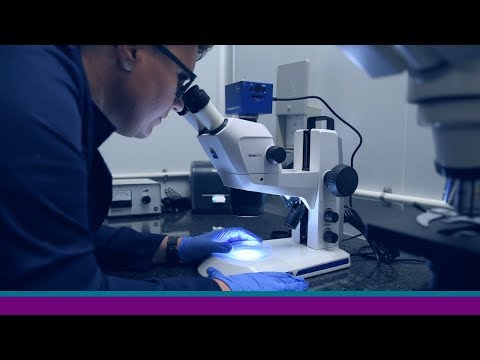Navigating the Link Between Environment and Toxicology