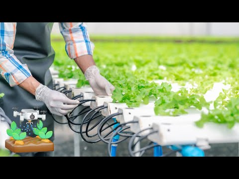 Innovative Approaches to Soil and Water Conservation Techniques
