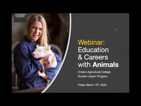 Zoologist Schooling: Paths to a Career in Animal Science