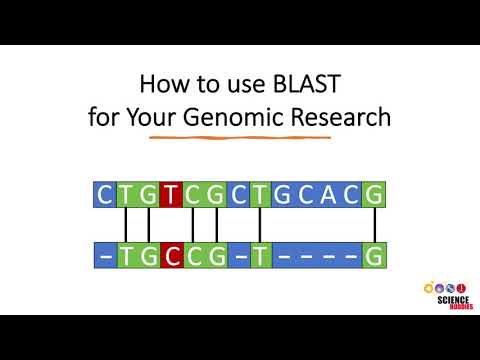 Unraveling the Science Behind Blast DNA Techniques