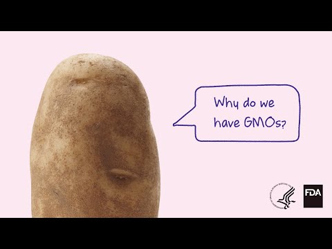 GMO Defined: The Science Behind Genetically Modified Organisms