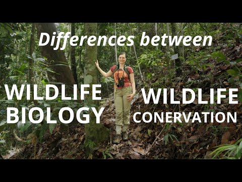 Wildlife Wonders: The Science of Zoology and Conservation