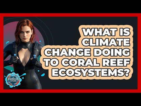 Coral Reefs: Vital Ecosystems Under Threat from Climate Change