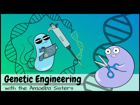 Recombinant Chromosomes: Nature’s Genetic Innovation