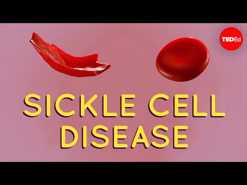 HBB Gene Role in Hemoglobin and Genetic Disorders