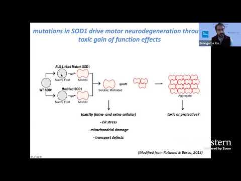 Genetic Insights into Hereditary ALS Research and Outreach