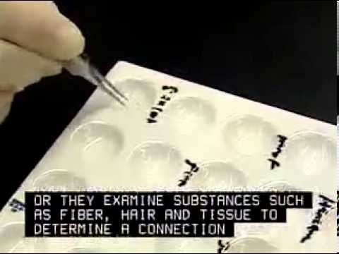 The Role of Forensic Science Lab Technicians in Justice