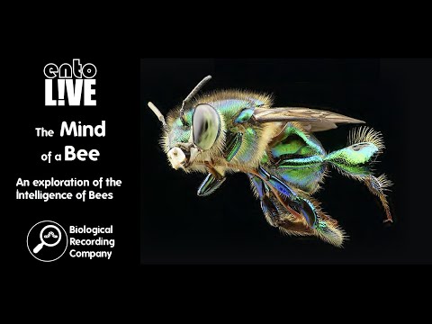 Engaging Young Minds with Brain Bees in Science Education
