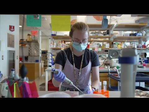 The Role of Systems Biology in Modern Scientific Research