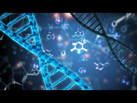 The Role of DNA in Shaping Life on Earth