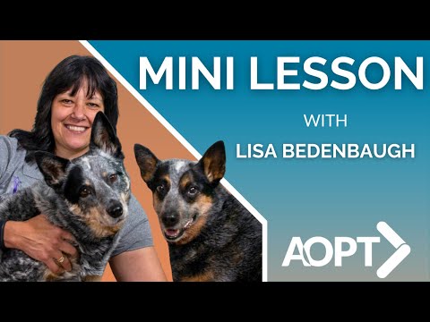 Canine Anatomy Insights for Science Enthusiasts