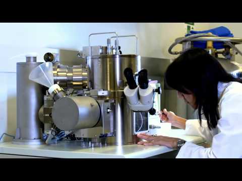 Advancing Neuroscience at the Max Planck Florida Institute