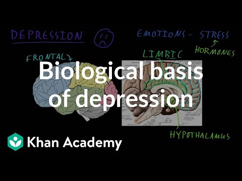 Unraveling the Biological Mechanisms of Depression Pathology