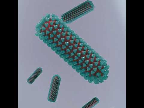 Advancements in Anti Rabies Vaccine Development and Safety