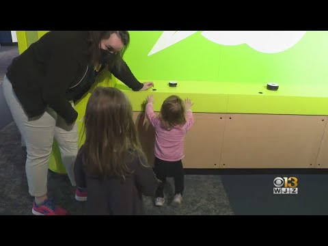 Engaging with the Interactive Human Body Experience