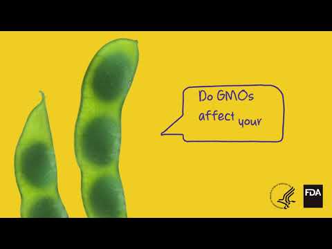 GMO in Food: Scientific Insights and Implications
