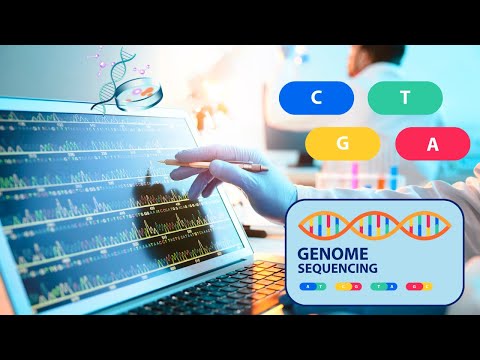 Advancements in DNA Testing and Its Scientific Importance