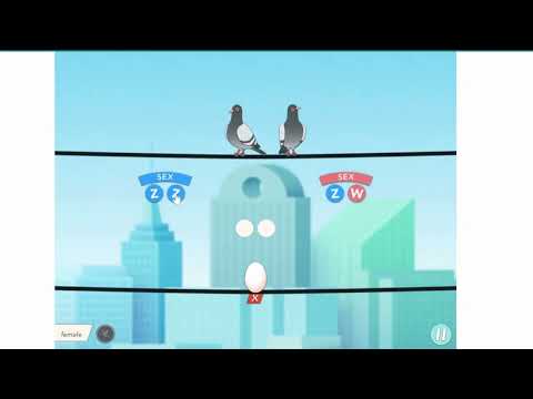 Pigeonetics: Bridging Science and Avian Enthusiasm