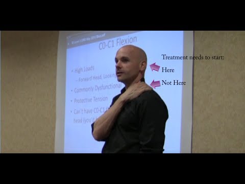 Understanding the Function and Importance of Neck Muscles