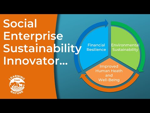 Nature Photonics and Its Role in Sustainable Innovation