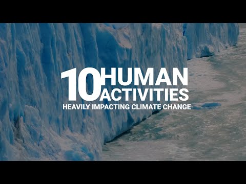 Human Activities and Their Effects on Our Planet's Health
