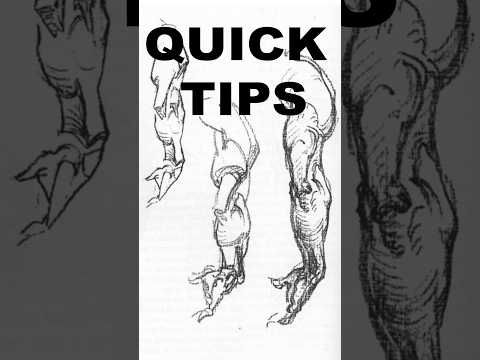 Advancing Science Through Constructive Anatomy Outreach