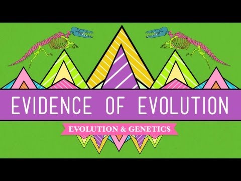Structural Genes: Foundations of Life and Evolution